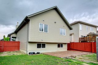 Photo 46: 19 Wiley Crescent: Red Deer Detached for sale : MLS®# A1227655