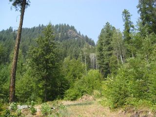 Photo 6: Lot 2 WOODLAND DRIVE in Nelson: Vacant Land for sale : MLS®# 2470275