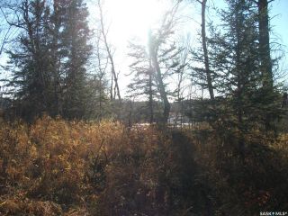 Photo 6: Red Deer River Lots in Hudson Bay: Lot/Land for sale (Hudson Bay Rm No. 394)  : MLS®# SK891533