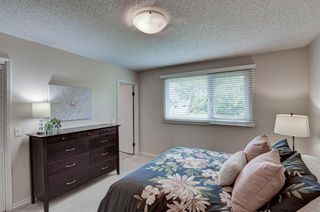 Photo 17: 511 Queen Charlotte Drive SE in Calgary: Queensland Detached for sale : MLS®# A1245348