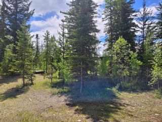 Photo 28: LOT 3 SHORE Court in 70 Mile House: Green Lk/Watch Lk Land for sale in "PRESSY LAKE" (100 Mile House)  : MLS®# R2892771