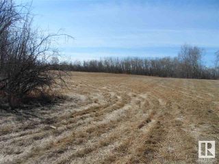 Photo 8: 12 Ivan Road 587104 Hwy 38: Rural Sturgeon County Rural Land/Vacant Lot for sale : MLS®# E4239338