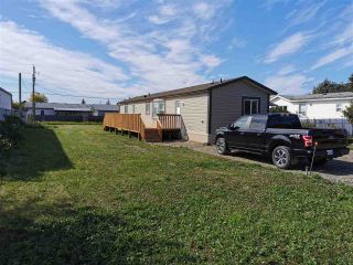Photo 16: 10464 98 Street: Taylor Manufactured Home for sale (Fort St. John (Zone 60))  : MLS®# R2499625