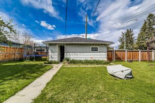 Photo 21: 3004 14 Avenue SW in Calgary: Shaganappi Detached for sale : MLS®# A2126306