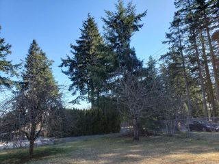 Photo 13: 260 5th Ave in CAMPBELL RIVER: CR Campbell River Central Land for sale (Campbell River)  : MLS®# 836042