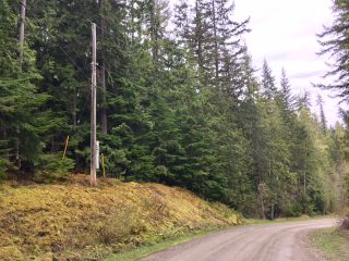 Photo 21: 3,4,6 Armstrong Road in Eagle Bay: Vacant Land for sale : MLS®# 10133907