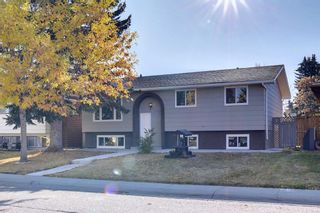 Photo 26: 527 Whitehorn Way NE in Calgary: Whitehorn Detached for sale : MLS®# A2006657