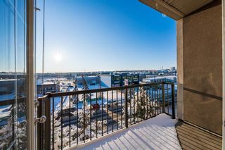 Photo 17: 321 15304 Bannister Road SE in Calgary: Midnapore Apartment for sale : MLS®# A1187096