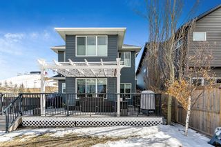 Photo 36: 3 Cougar Ridge Manor SW in Calgary: Cougar Ridge Detached for sale : MLS®# A2039882
