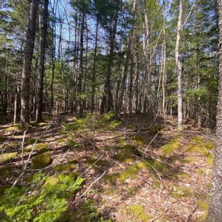 Photo 3: Lot 8 Old Trunk Highway 3 in Hebbs Cross: 405-Lunenburg County Vacant Land for sale (South Shore)  : MLS®# 202312885