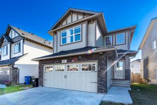 Photo 2: 20 Skyview Shores Link NE in Calgary: Skyview Ranch Detached for sale : MLS®# A1258924