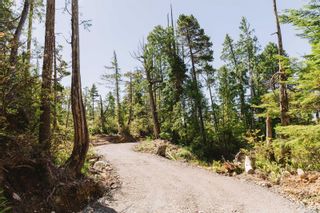 Photo 13: LOT A Hawkes Rd in Ucluelet: PA Ucluelet Land for sale (Port Alberni)  : MLS®# 911701