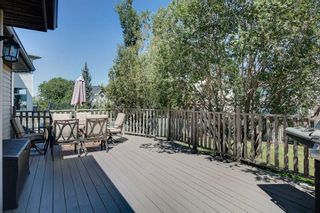 Photo 30: 21 CITADEL CREST Place NW in Calgary: Citadel Detached for sale : MLS®# C4197378