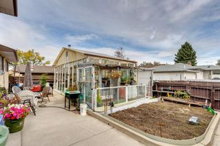 Photo 34: 147 Templevale Place NE in Calgary: Temple Detached for sale : MLS®# A1144568