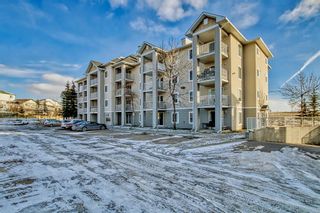 Photo 2: 4402 1620 70 Street SE in Calgary: Applewood Park Apartment for sale : MLS®# A2013471