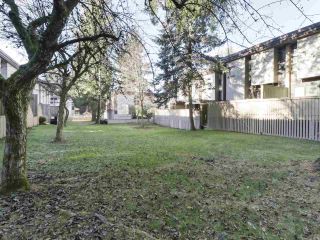 Photo 17: 114 13806 103 Avenue in Surrey: Whalley Townhouse for sale (North Surrey)  : MLS®# R2422802