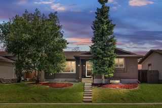 Main Photo: 3120 RUNDLELAWN Road NE in Calgary: Rundle Detached for sale : MLS®# A1025311