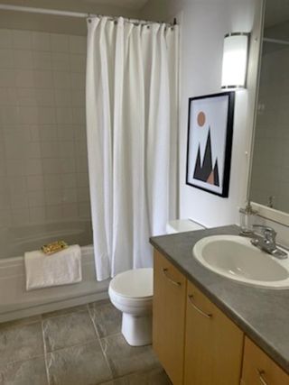 Photo 14: 411 5115 Richard Road SW in Calgary: Lincoln Park Apartment for sale : MLS®# A1215711