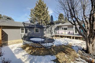 Photo 38: 6427 Larkspur Way SW in Calgary: North Glenmore Park Detached for sale : MLS®# A1079001