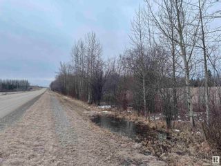 Photo 2: Twp 492 RR 52: Rural Brazeau County Rural Land/Vacant Lot for sale : MLS®# E4289275