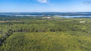 Photo 9: 0 Granton Abercrombie Road in Abercrombie: 108-Rural Pictou County Vacant Land for sale (Northern Region)  : MLS®# 202202124