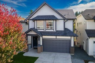 Photo 3: 11300 240A Street in Maple Ridge: Cottonwood MR House for sale in "Willow & Oak" : MLS®# R2845956