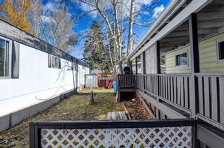 Photo 3: 107 3223 83 Street NW in Calgary: Greenwood/Greenbriar Mobile for sale : MLS®# A2088211