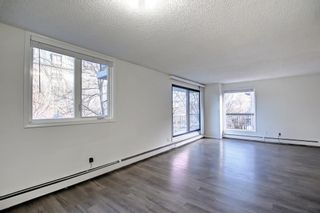 Photo 4: 202 225 25 Avenue SW in Calgary: Mission Apartment for sale : MLS®# A1163942