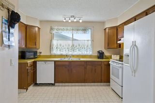 Photo 14: 2719 41A Avenue SE in Calgary: Dover Detached for sale : MLS®# A1132973