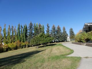 Photo 49: 1008 Shawnee Drive SW in Calgary: Shawnee Slopes Detached for sale : MLS®# A2054405