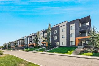 Photo 1: 4211 1317 27 Street SE in Calgary: Albert Park/Radisson Heights Apartment for sale : MLS®# A2070550