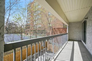 Photo 18: 203 305 25 Avenue SW in Calgary: Mission Apartment for sale : MLS®# A2044945