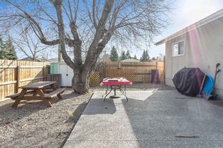Photo 18: 1613 Olympia Drive SE in Calgary: Ogden Detached for sale : MLS®# A1200625