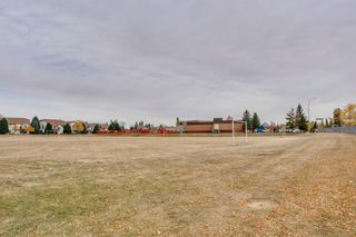 Photo 45: 16 Douglas Woods View SE in Calgary: Douglasdale/Glen Detached for sale : MLS®# A1041640