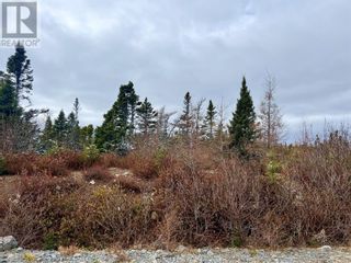 Photo 1: Lot 1 Reenies Way in Dildo: Vacant Land for sale : MLS®# 1269671