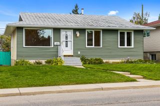 Photo 29: 3320 Dover Ridge Drive SE in Calgary: Dover Detached for sale : MLS®# A1141061