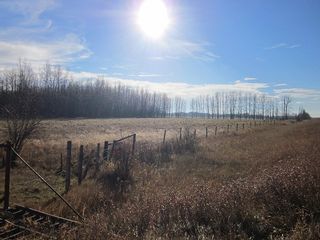 Photo 21: NW 24-54 RR 131: Niton Junction Rural Land for sale (Edson)  : MLS®# 32590