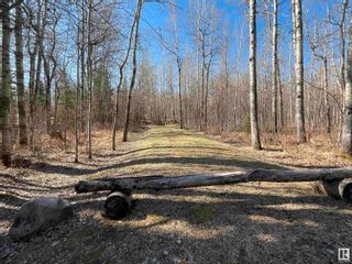 Photo 2: 54 274022 TWP RD 480: Rural Wetaskiwin County Vacant Lot/Land for sale : MLS®# E4385776
