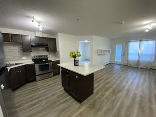 Photo 7: 7331 Terwillegar Drive in : Edmonton Apartment for rent
