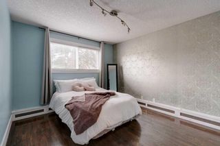 Photo 13: 203 1530 16 Avenue SW in Calgary: Sunalta Apartment for sale : MLS®# A2132912