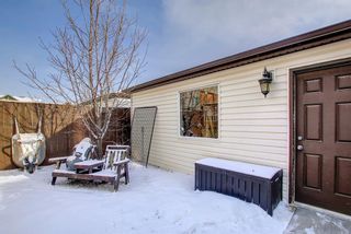 Photo 49: 24 Skyview Ranch Lane NE in Calgary: Skyview Ranch Semi Detached for sale : MLS®# A1175919