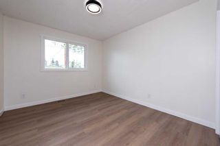 Photo 15: 107 Dovertree Place SE in Calgary: Dover Semi Detached (Half Duplex) for sale : MLS®# A2131844