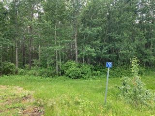 Photo 4: 70 47411 RR14: Rural Leduc County Rural Land/Vacant Lot for sale : MLS®# E4273719