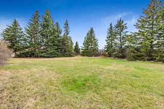 Photo 37: 80109 226 Avenue W: Rural Foothills County Detached for sale : MLS®# A2125891