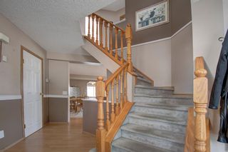 Photo 22: 63 MT Apex Green SE in Calgary: McKenzie Lake Detached for sale : MLS®# A1009034