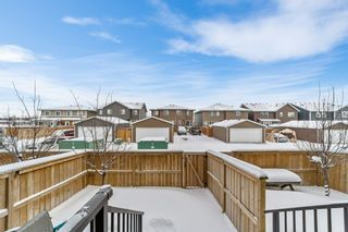 Photo 27: 209 31 Red Embers Parade NE in Calgary: Redstone Row/Townhouse for sale : MLS®# A2031104