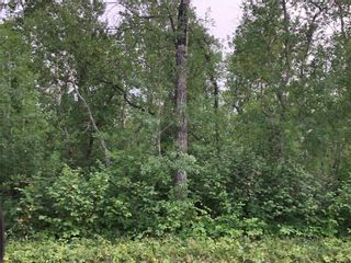 Photo 3: 10 Northwinds Road in Alonsa: Lake Manitoba Narrows Residential for sale (R19)  : MLS®# 202119780