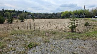 Photo 5: 315 5241 Township Road 325A: Rural Mountain View County Residential Land for sale : MLS®# A2033613
