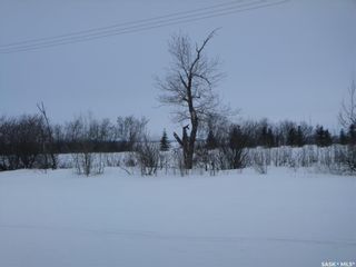 Photo 2: Cleaveley Acreage in Tisdale: Lot/Land for sale (Tisdale Rm No. 427)  : MLS®# SK915037