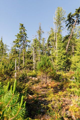 Photo 20: LOT B Hawkes Rd in Ucluelet: PA Ucluelet Land for sale (Port Alberni)  : MLS®# 911921